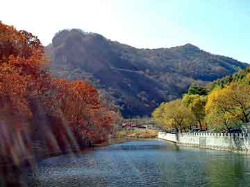 正版澳门天天开彩大全，桑塔纳论坛